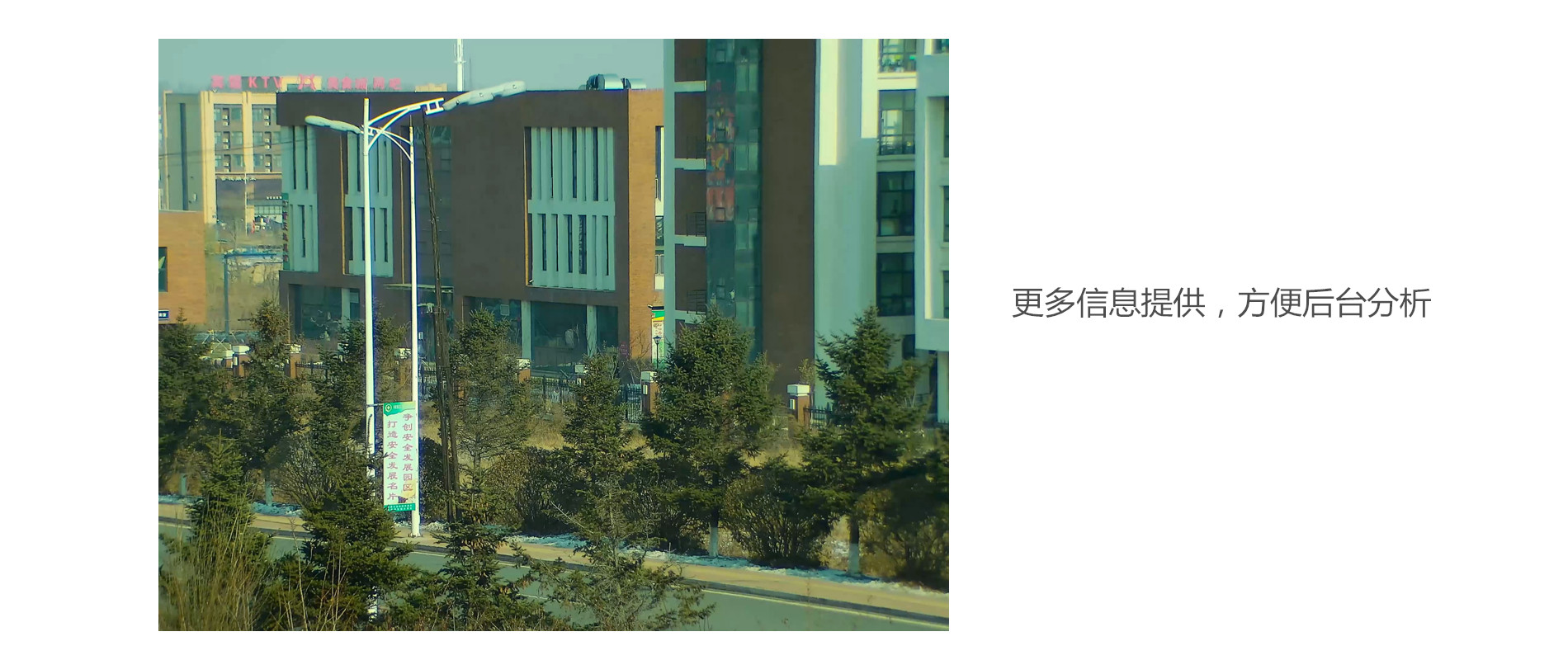 50倍 2.jpg
